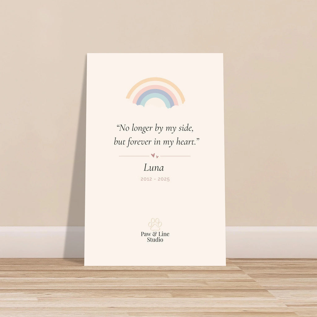 97426153-1a39-4a79-9cb2-10b25ca81111