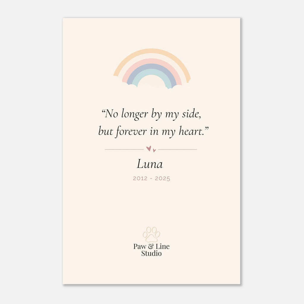 cf4d51db-68d9-4b01-b774-93e5284767ea